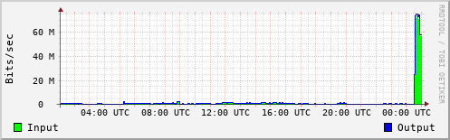 Network Activity