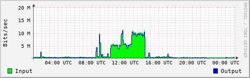 Network Activity