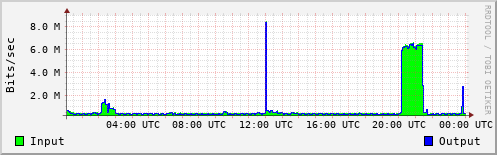 Network Activity