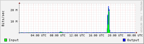 Network Activity