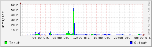 Network Activity