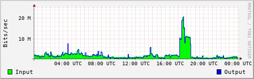 Network Activity