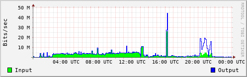 Network Activity