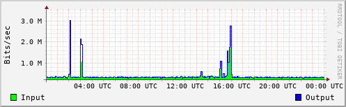 Network Activity