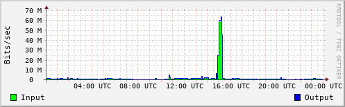 Network Activity