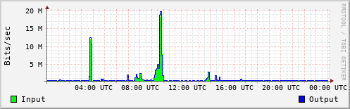 Network Activity