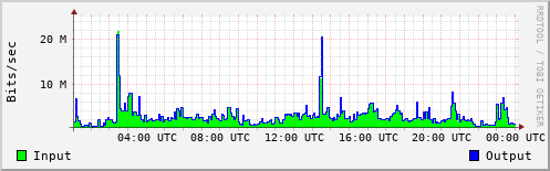 Network Activity