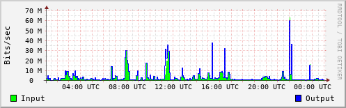 Network Activity
