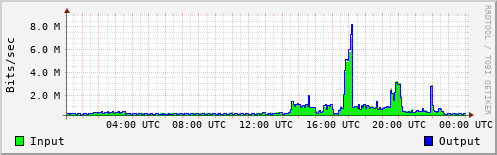 Network Activity