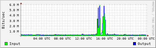Network Activity