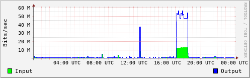 Network Activity