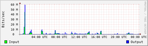 Network Activity