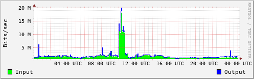 Network Activity