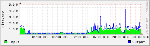 Network Activity
