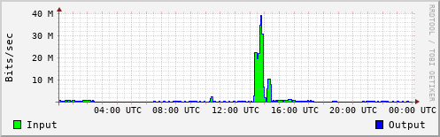 Network Activity
