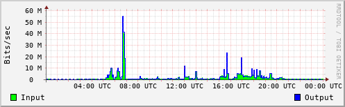 Network Activity