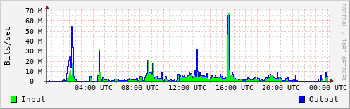 Network Activity