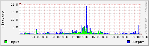 Network Activity