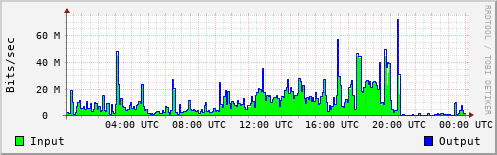 Network Activity