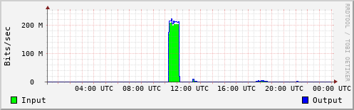 Network Activity