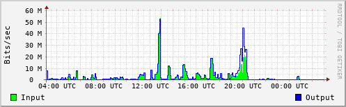 Network Activity
