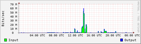 Network Activity