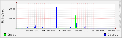 Network Activity