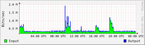 Network Activity