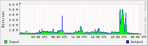 Network Activity