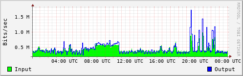 Network Activity