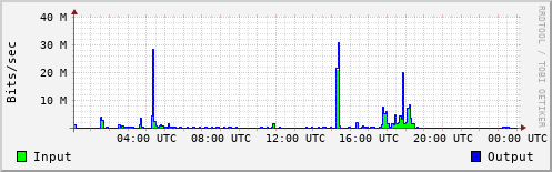 Network Activity