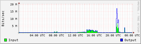 Network Activity
