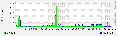 Network Activity