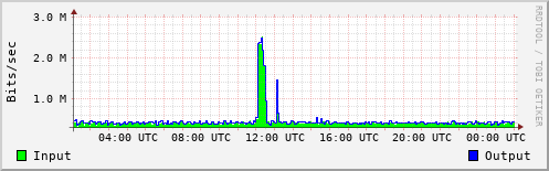 Network Activity