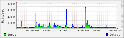Network Activity