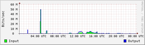 Network Activity