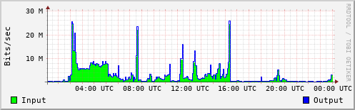 Network Activity