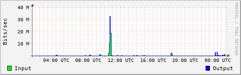 Network Activity