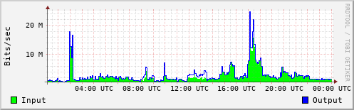 Network Activity