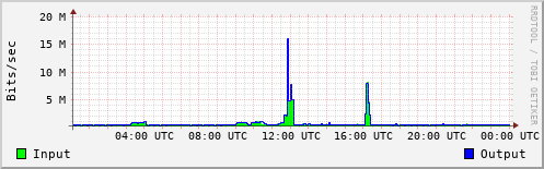 Network Activity
