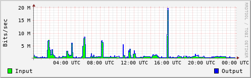 Network Activity