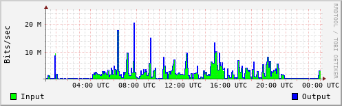 Network Activity