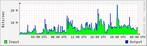 Network Activity