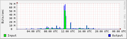 Network Activity