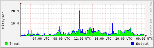 Network Activity