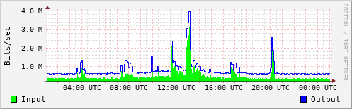 Network Activity