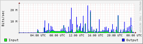 Network Activity