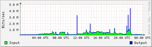 Network Activity