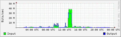 Network Activity