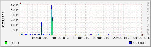 Network Activity